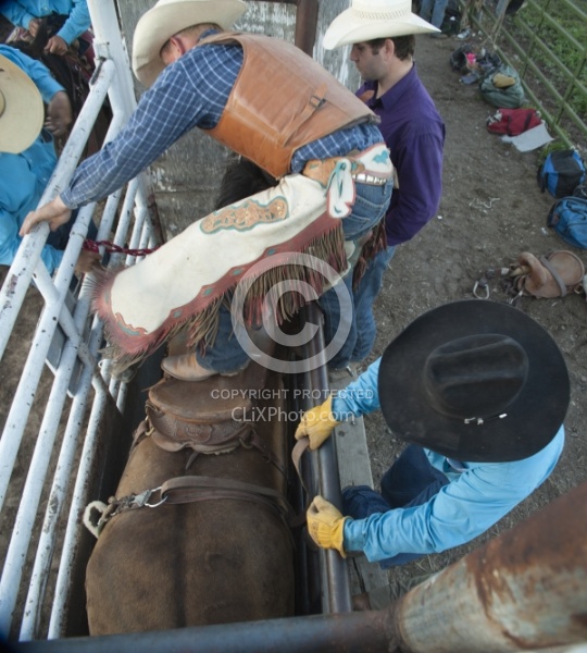 Broncos in the Chute