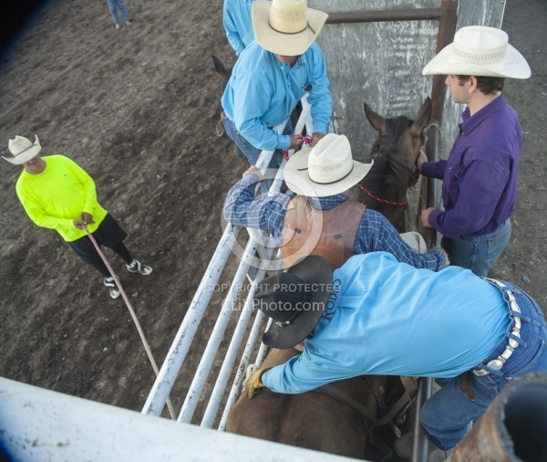 Broncos in the Chute