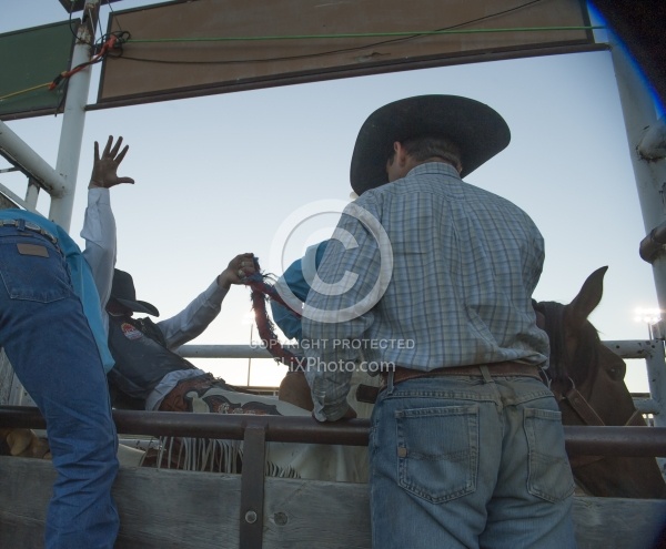 Broncos in the Chute