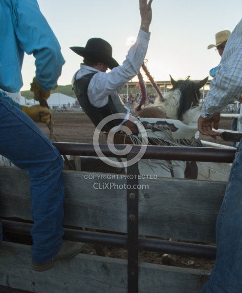 Broncos in the Chute