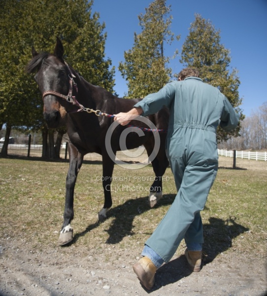 Vet - Neurologic test Neurology Test