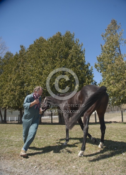 Vet - Neurologic test Neurology Test