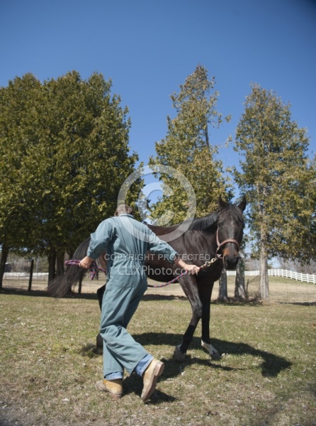 Vet - Neurologic test Neurology Test