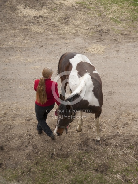 Vet - Neurologic test Neurology Test