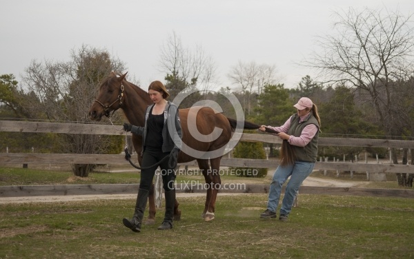 Vet - Neurologic test Neurology Test