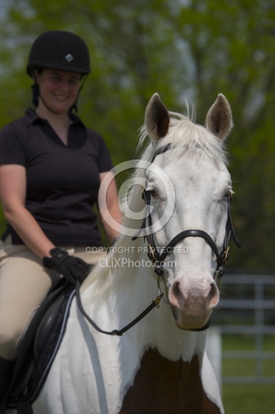 Paint Portrait Paint Portrait