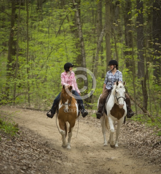 Paint on the Trail in Spring