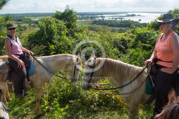 On the Trail at Finca La Guabina 