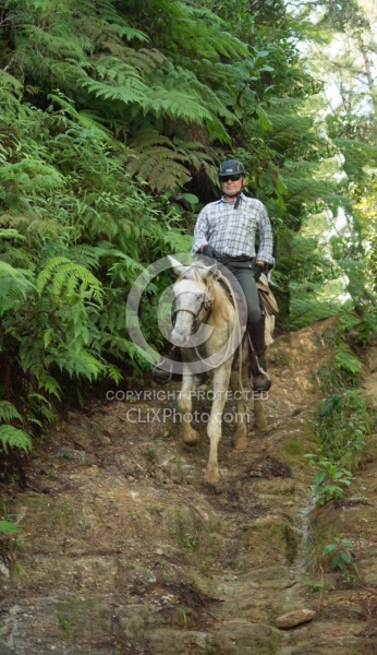 On the Trail at Finca La Guabina Havana
