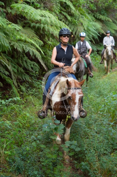 On the Trail at Finca La Guabina Havana