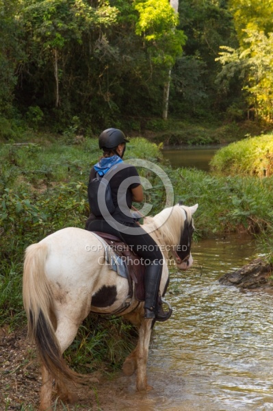 On the Trail at Finca La Guabina Havana
