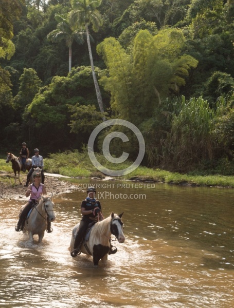 On the Trail at Finca La Guabina Havana