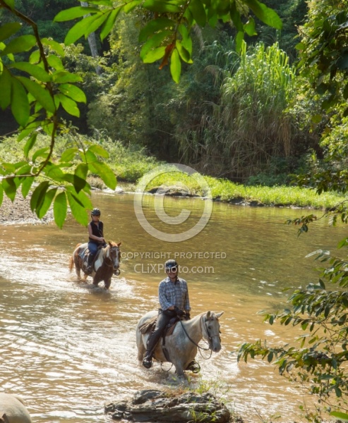 On the Trail at Finca La Guabina Havana