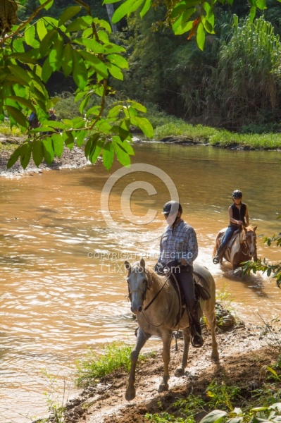 On the Trail at Finca La Guabina Havana