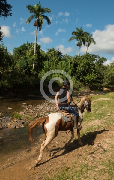 On the Trail at Finca La Guabina Havana
