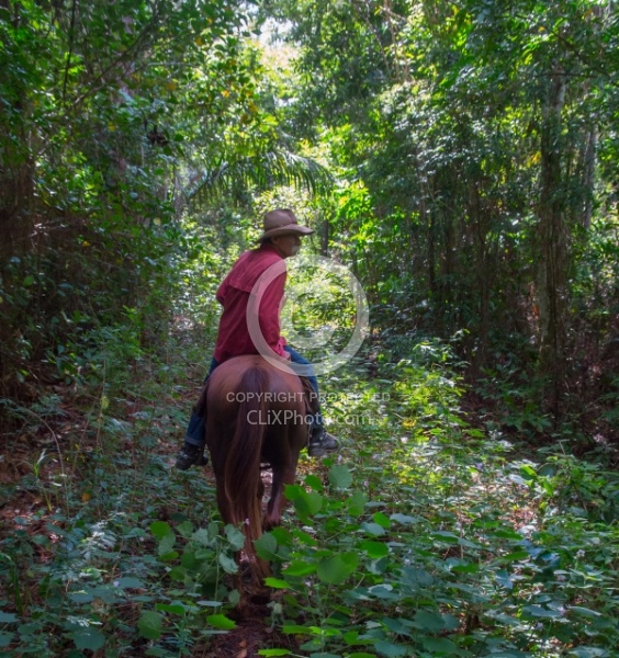 On the Trail at Finca La Guabina Havana