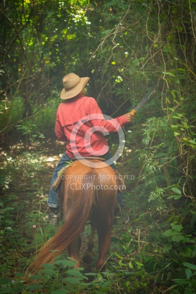 On the Trail at Finca La Guabina Havana