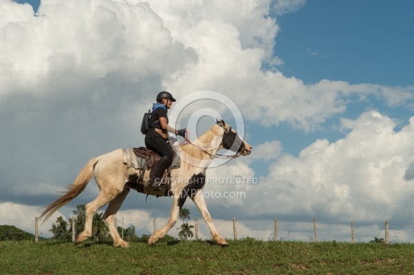 On the Trail at Finca La Guabina Havana
