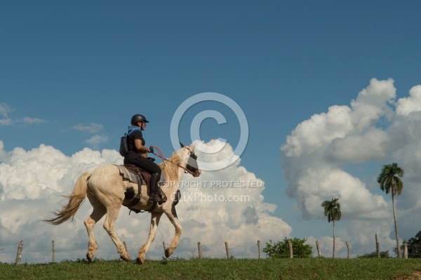 On the Trail at Finca La Guabina Havana