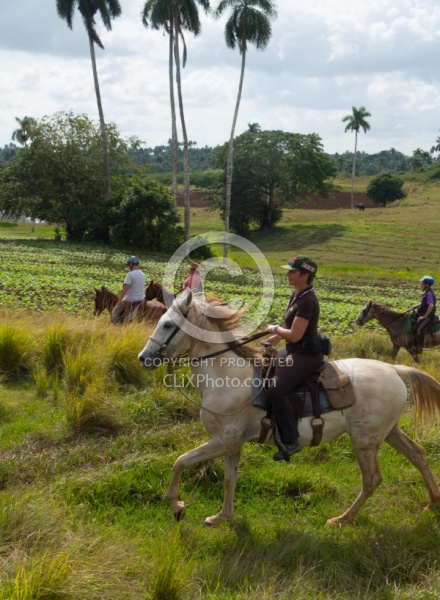 On the Trail at Finca La Guabina Havana