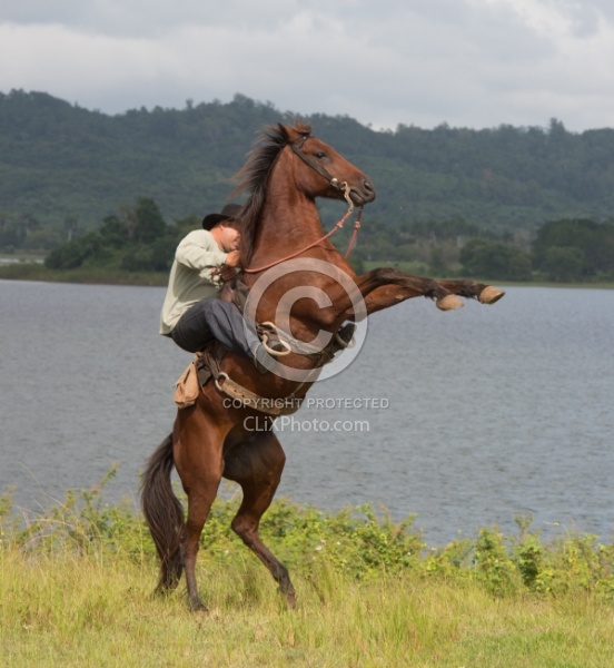 On the Trail at Finca La Guabina Havana