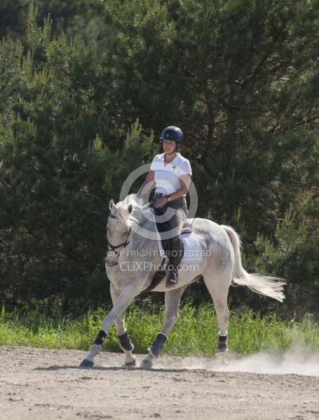 Saddlewood Appaloosa Show Dressage Serpentine