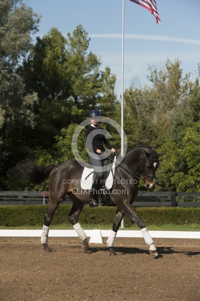 Dressage Serpentine
