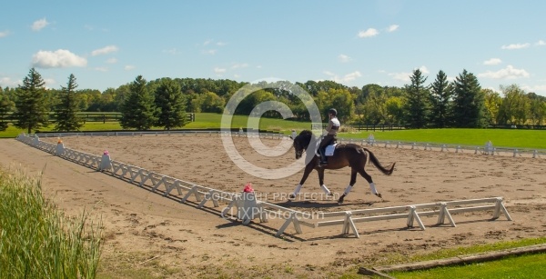 Outdoor Ring Dressage Serpentine