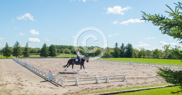 Outdoor Ring Dressage Serpentine