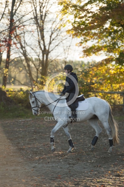 Dressage Serpentine