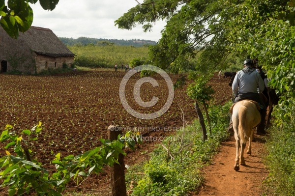 Valle Vinales