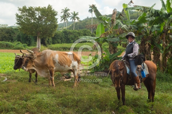 On the Trail at Finca la Guabina