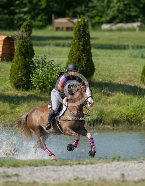 Equine Athlete, Eventing Lower Level Leg Protection Eventing