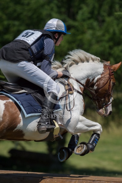 Equine Athlete, Eventing Lower Level Leg Protection Eventing