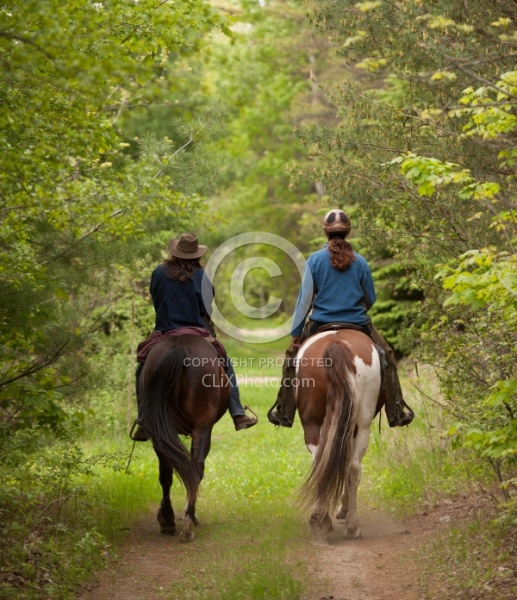 Trail Riding in the Ganny, Anne vavra Trail Riding Spring Summer