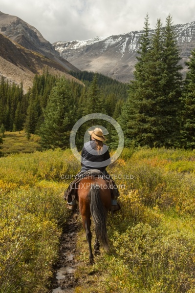 On the Trail Spring Summer