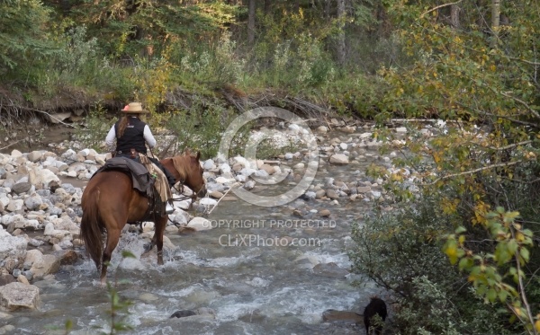 Spring Summer Trail Riding