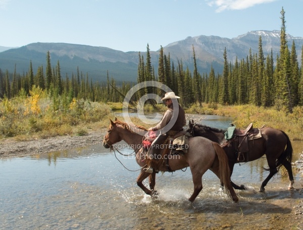 Spring Summer Trail Riding