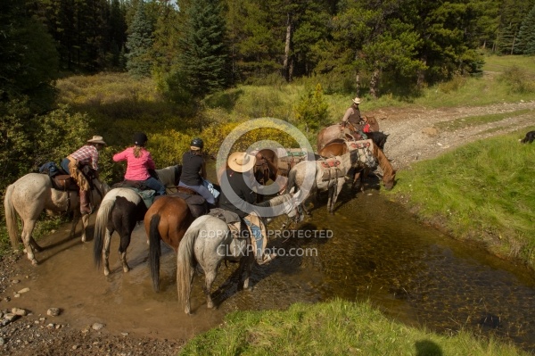 Spring Summer Trail Riding