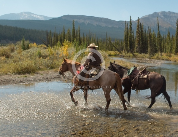 Leading a Horse on the Trail