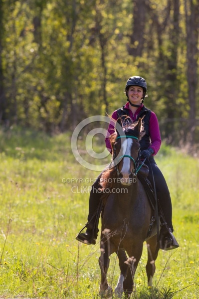 Rocky Mountain Horse on the Trail,Bonnie View Farms 
