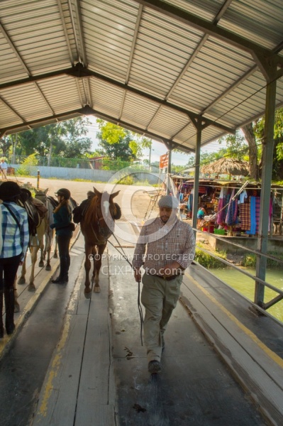 The Ride to Xunantunich with Hanna Stables