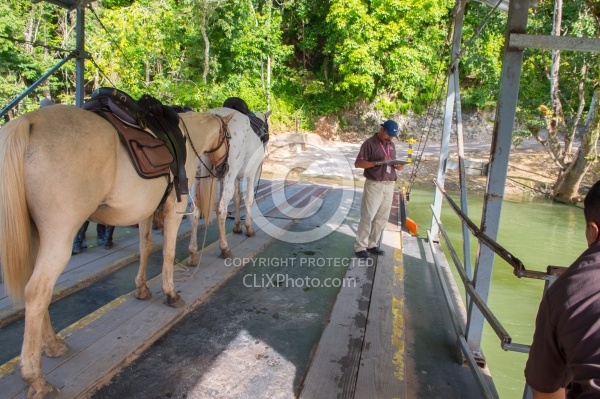 The Ride to Xunantunich with Hanna Stables