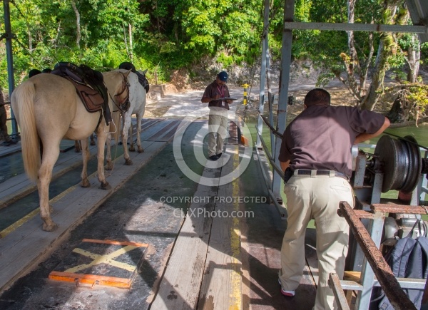 The Ride to Xunantunich with Hanna Stables