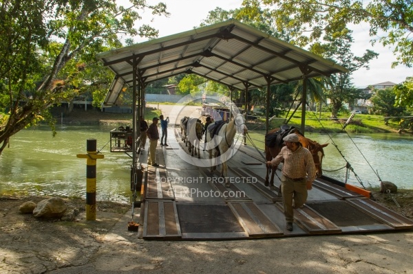 The Ride to Xunantunich with Hanna Stables