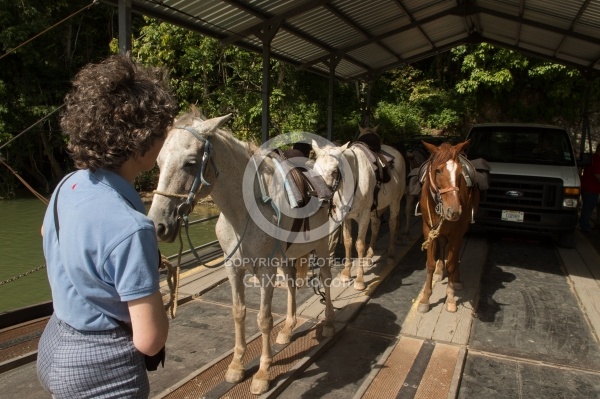 The Ride to Xunantunich with Hanna Stables