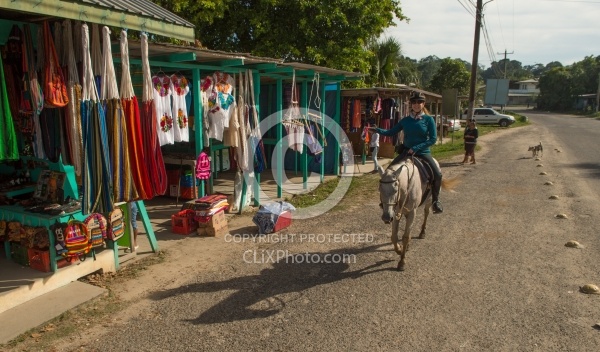 The Ride to Xunantunich with Hanna Stables