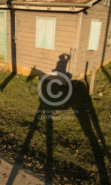 Riding Through Town with Hanna Stables