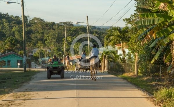 Riding Through Town with Hanna Stables