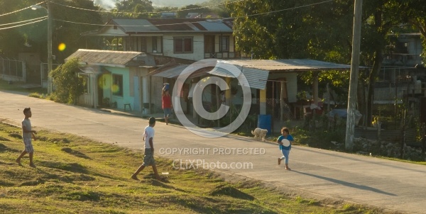 Riding Through Town with Hanna Stables
